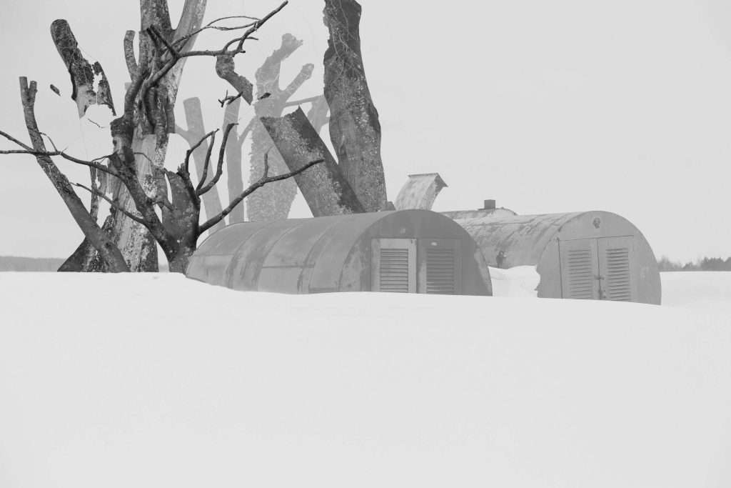 Dallar ve Sığınaklar